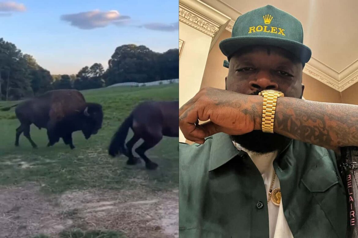 Rick Ross Responds To Neighbor's Complaints About His Animals Causing Damage