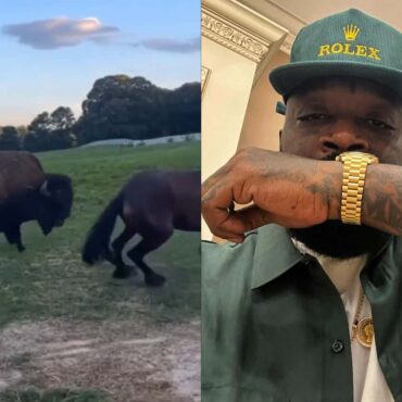 Rick Ross Responds To Neighbor's Complaints About His Animals Causing Damage